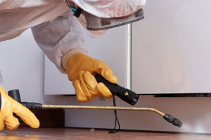 Messie Schädlingsbekämpfung Kaarst